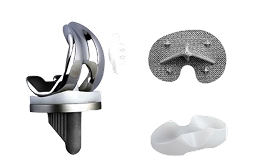 Joint Prostheses