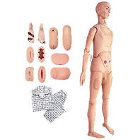 Patient Simulation Mannequins (Full-Body Models)